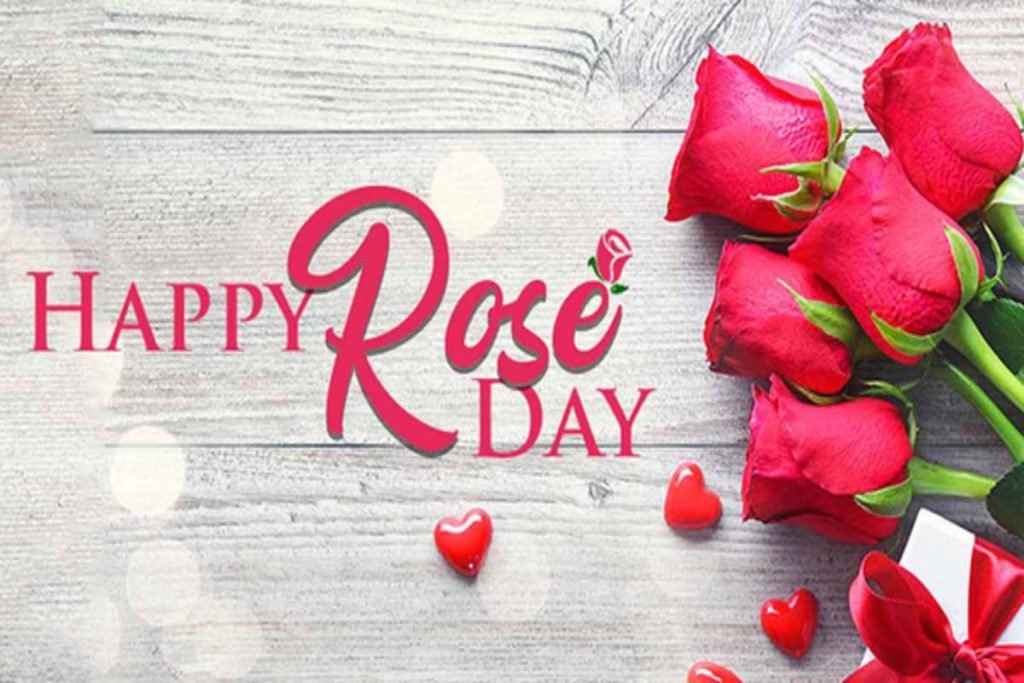 7th February 2024 Rose Day HD Photos